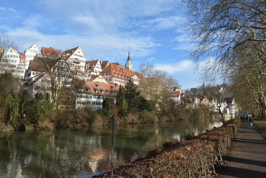 Neckarabschwimmen in Tübingen