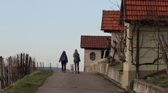 Der Weinerlebnisweg soll vom kommenden Jahr an den Metzinger und Neuhäuser Weinberg für Spaziergänger, Wanderer und Weintrinker