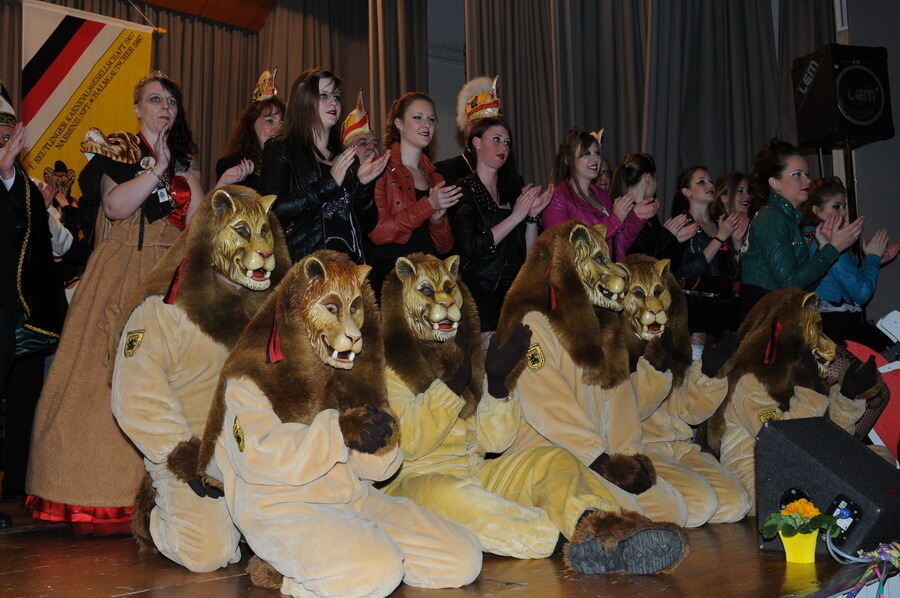 Männerverein Reutlingen 55. Prunkfestsitzung 2014