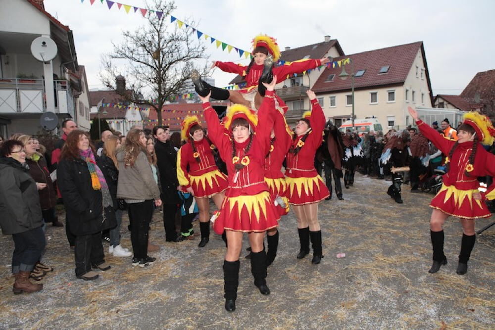 Jubiläumsumzug der Gomaringer Käsperle 2014