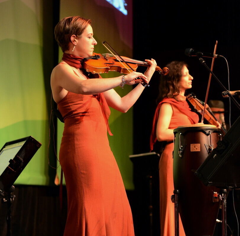 Alpenball in der Stadthalle 2014