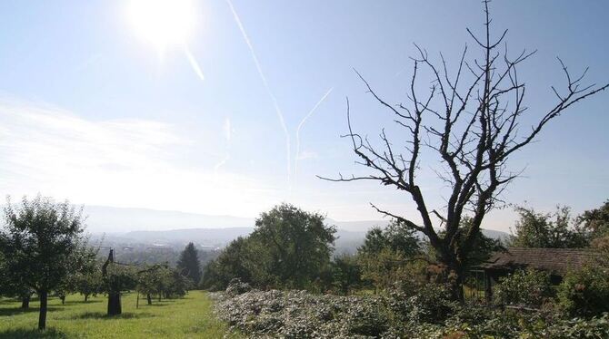 Natur in Metzingen.