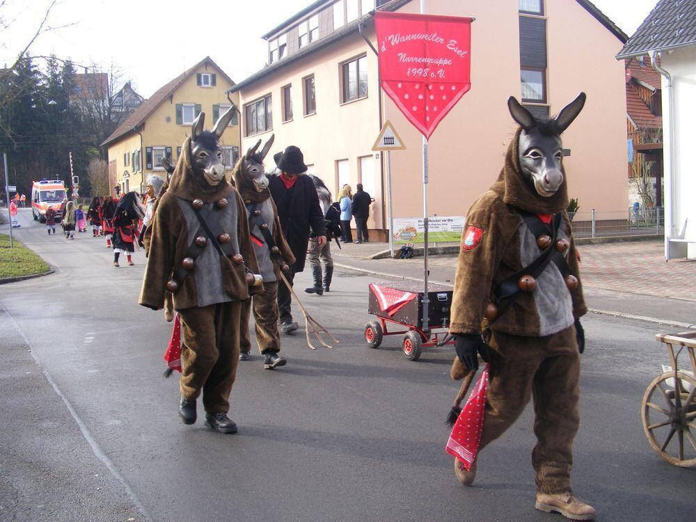 Fasnet Wannweil 2014