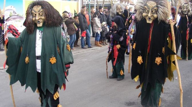 Fasnet Wannweil 2014