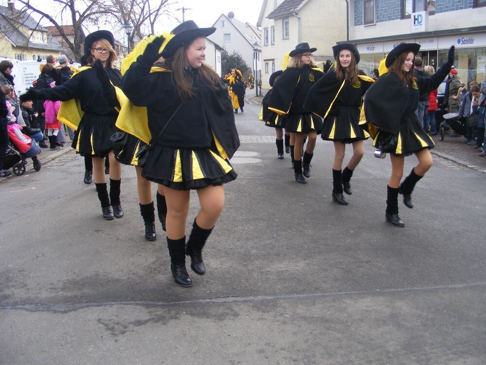 Fasnet Wannweil 2014