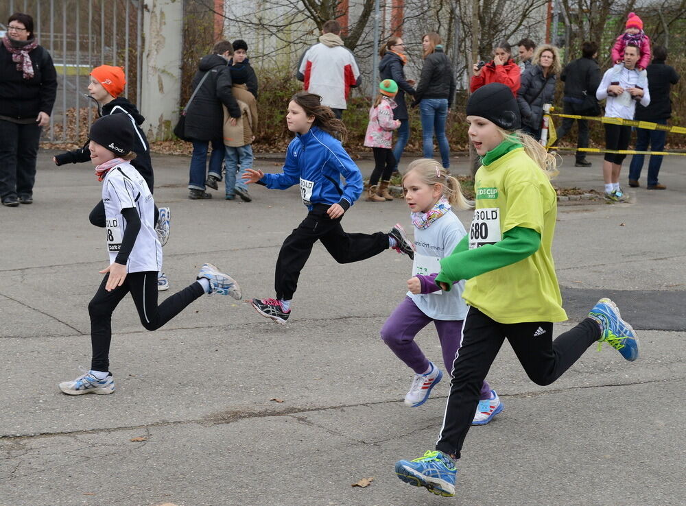 Alb-Gold-Winterlauf-Cup in Reutlingen 8. Februar 2014