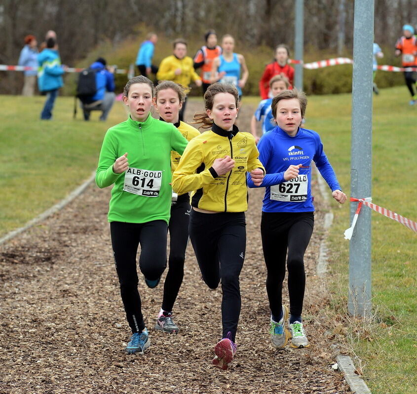 Alb-Gold-Winterlauf-Cup in Reutlingen 8. Februar 2014