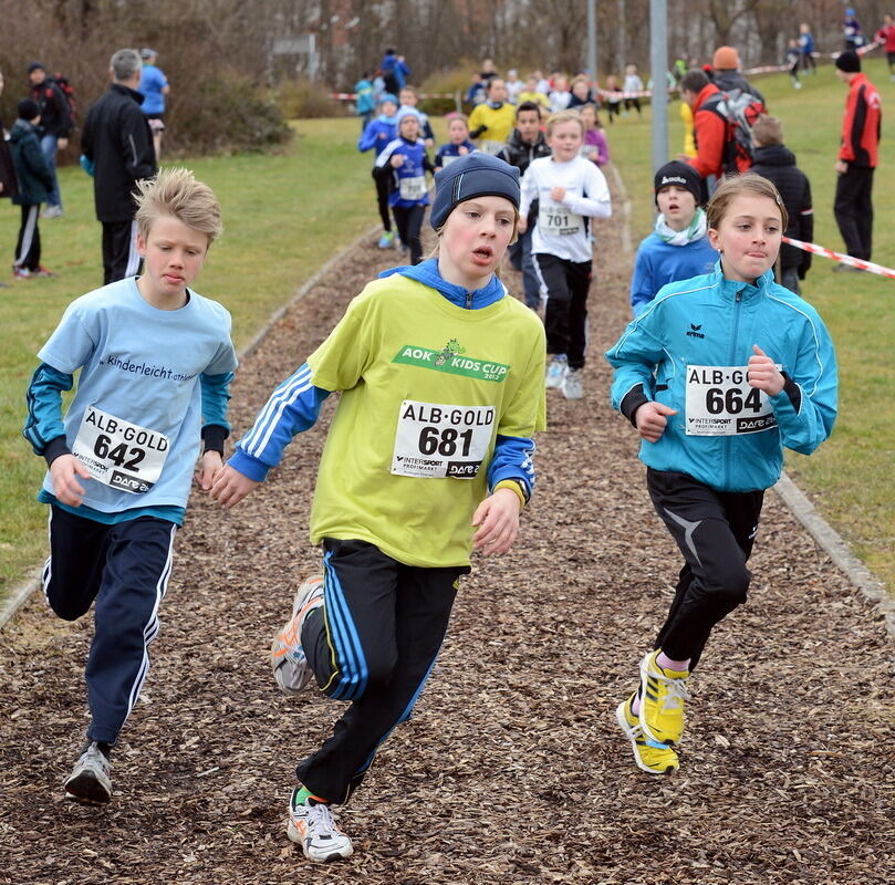 Alb-Gold-Winterlauf-Cup in Reutlingen 8. Februar 2014