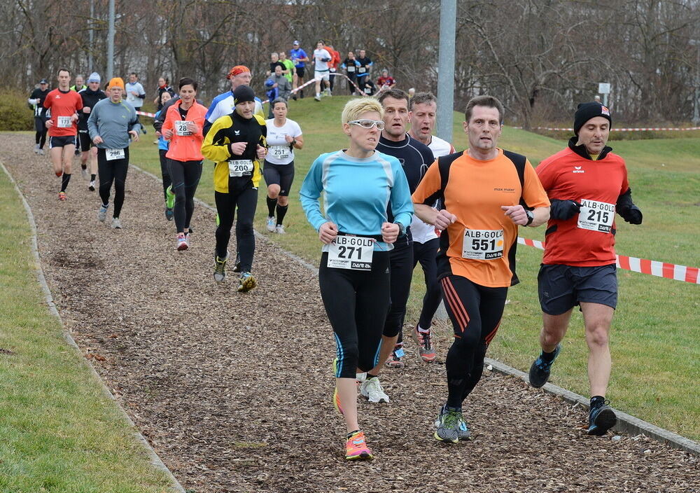 Alb-Gold-Winterlauf-Cup in Reutlingen 8. Februar 2014