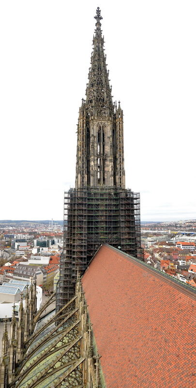 Ulmer Münster Münsterbaumeister aus Reutlingen