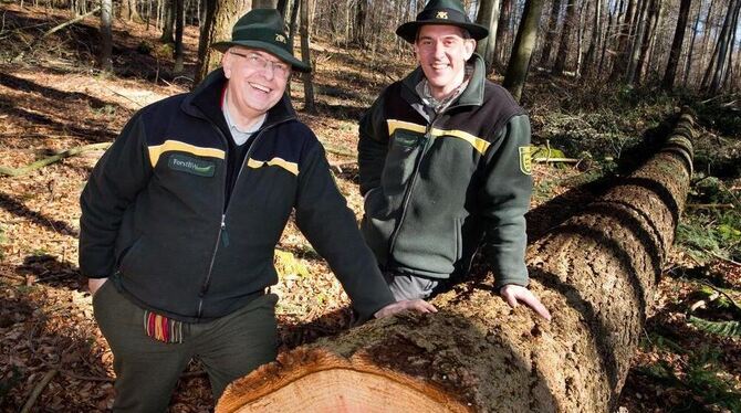 Im Schönbuch gefällt: Revierleiter Rainer Pohl (links) und Michael Thies mit einer »nur« 40 Meter langen Douglasie. FOTO: SCHREI