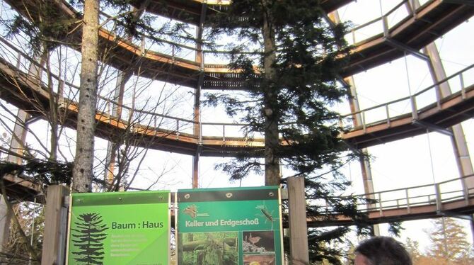 Ein Riesen-Ei mitten im Wald. Von der 44 Meter hohen Plattform bietet sich ein toller Rundum-Blick.  GEA-FOTO: OEL