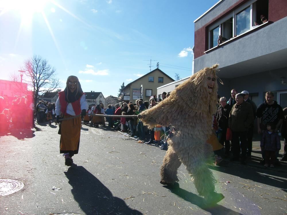 20 Jahre Steinlachtaler Fasnachtsverein Umzug Mössingen