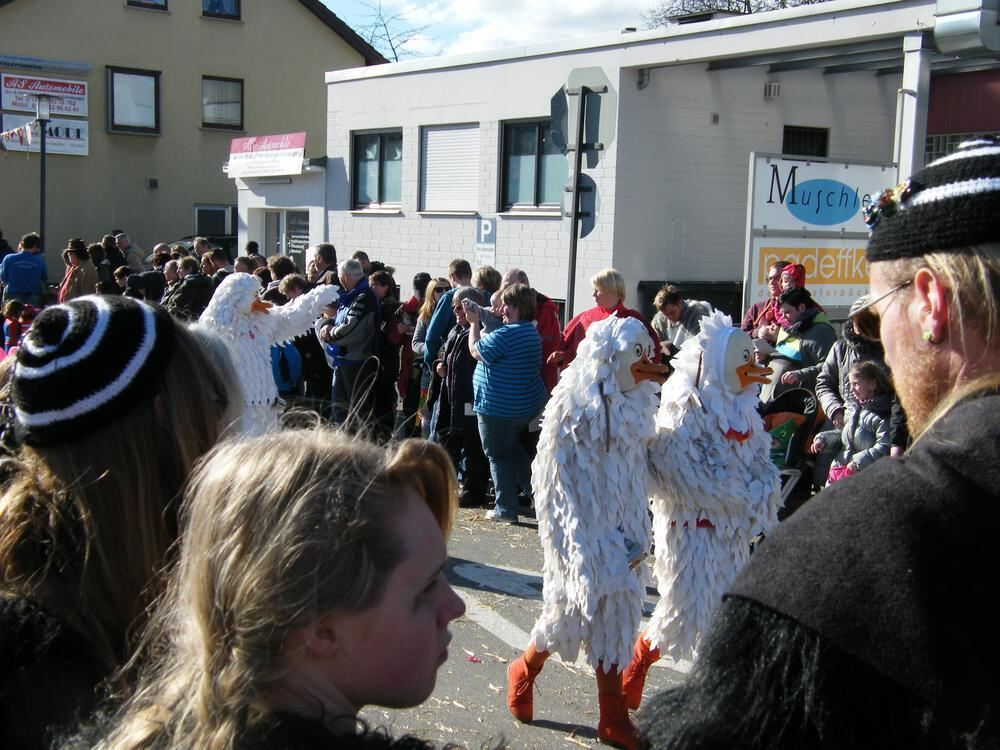 20 Jahre Steinlachtaler Fasnachtsverein Umzug Mössingen