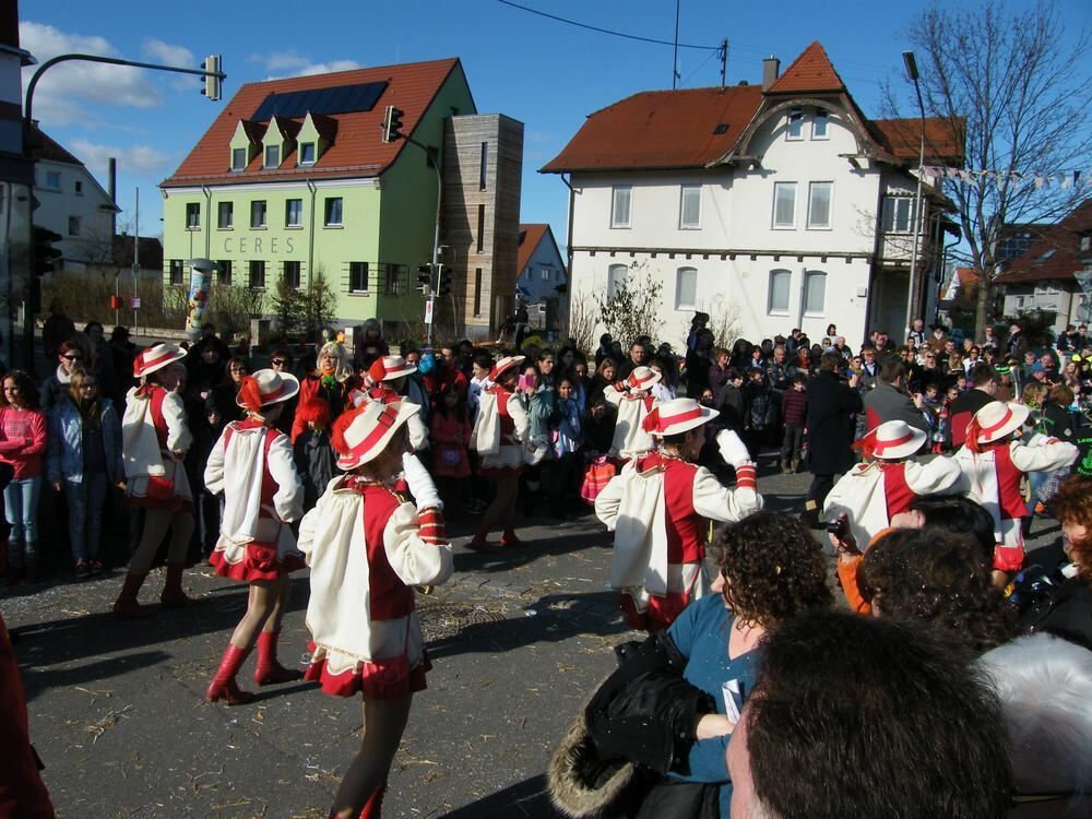 20 Jahre Steinlachtaler Fasnachtsverein Umzug Mössingen