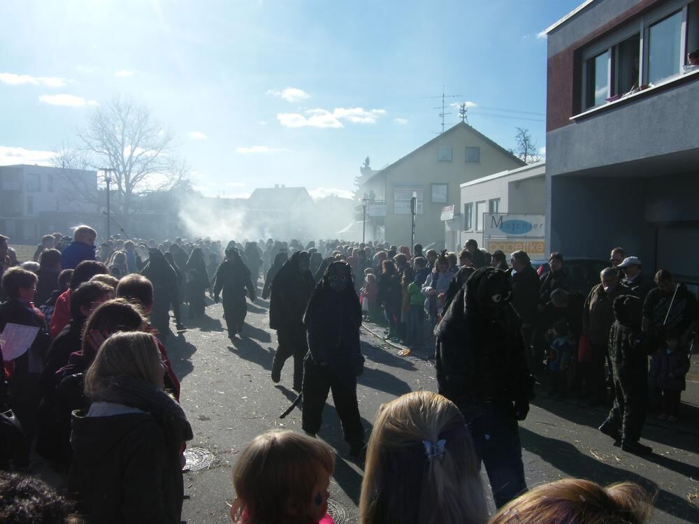 20 Jahre Steinlachtaler Fasnachtsverein Umzug Mössingen