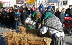 20 Jahre Steinlachtaler Fasnachtsverein Umzug Mössingen