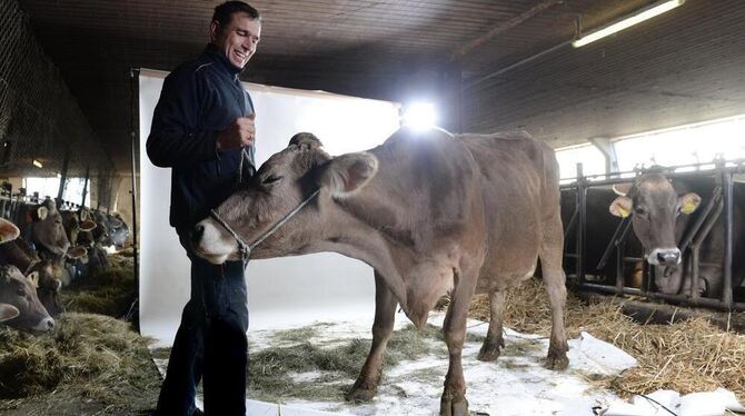 Landwirt Gereon Güldenberg steht mit Model-Kuh Biggi in Weingarten im Stall des Rösslerhofs.