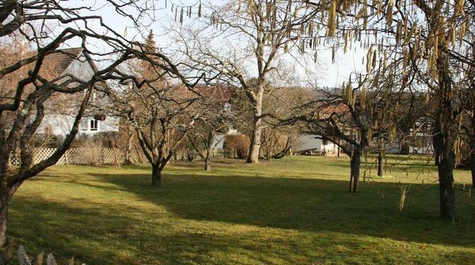 Potenzieller Wohnplatz: eine Baulücke in der J.-C.-Schneider-Straße