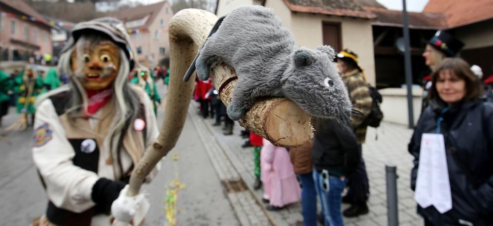 Großer Narrensprung in Zwiefalten 2. März 2014