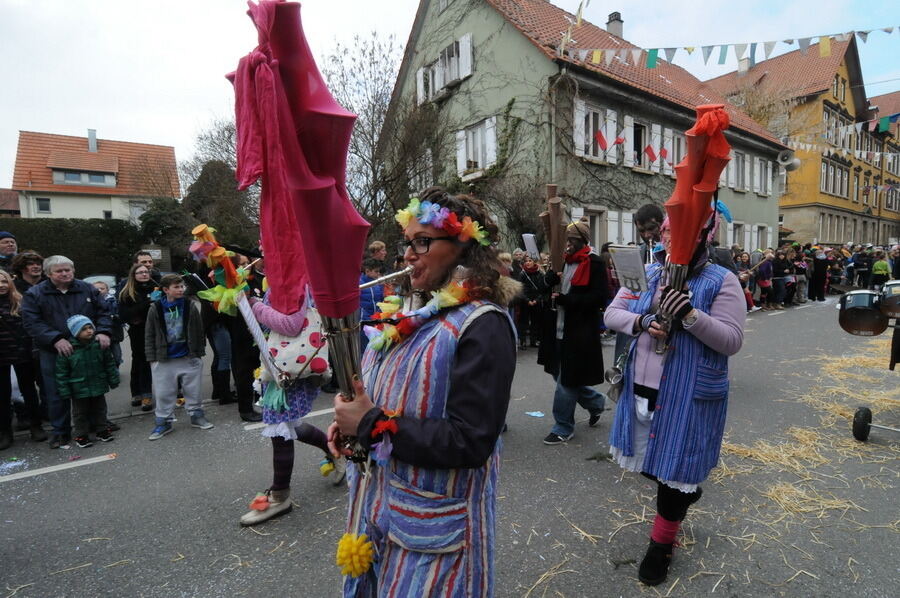 Großer Ommzug in Rottenburg 2014