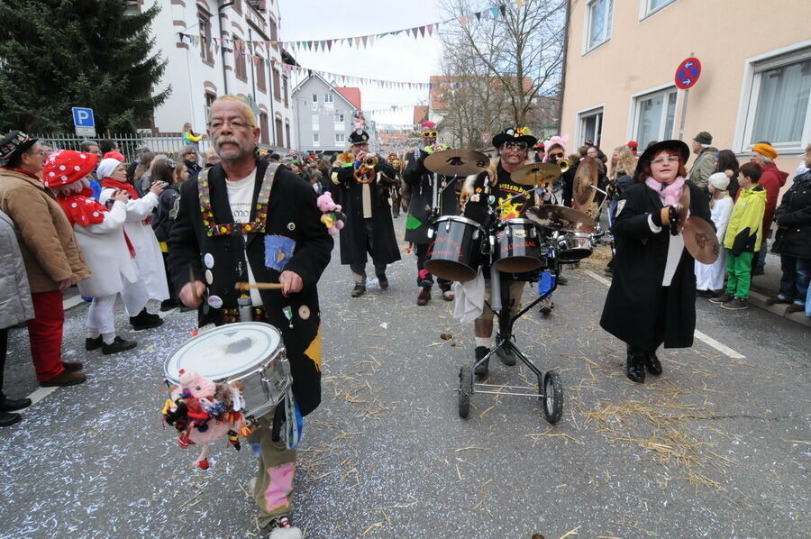 Großer Ommzug in Rottenburg 2014