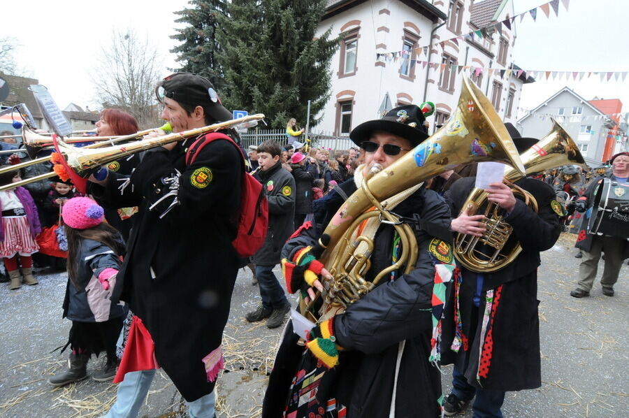 Großer Ommzug in Rottenburg 2014