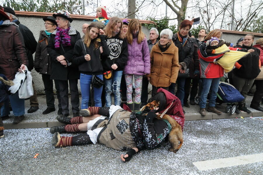 Großer Ommzug in Rottenburg 2014