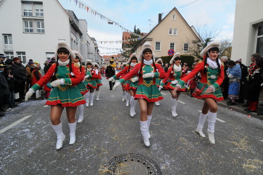 Großer Ommzug in Rottenburg 2014