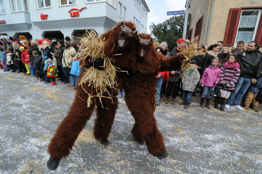 Großer Ommzug in Rottenburg 2014