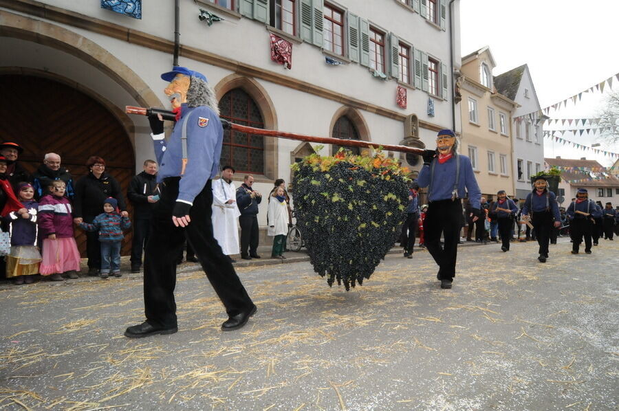 Großer Ommzug in Rottenburg 2014