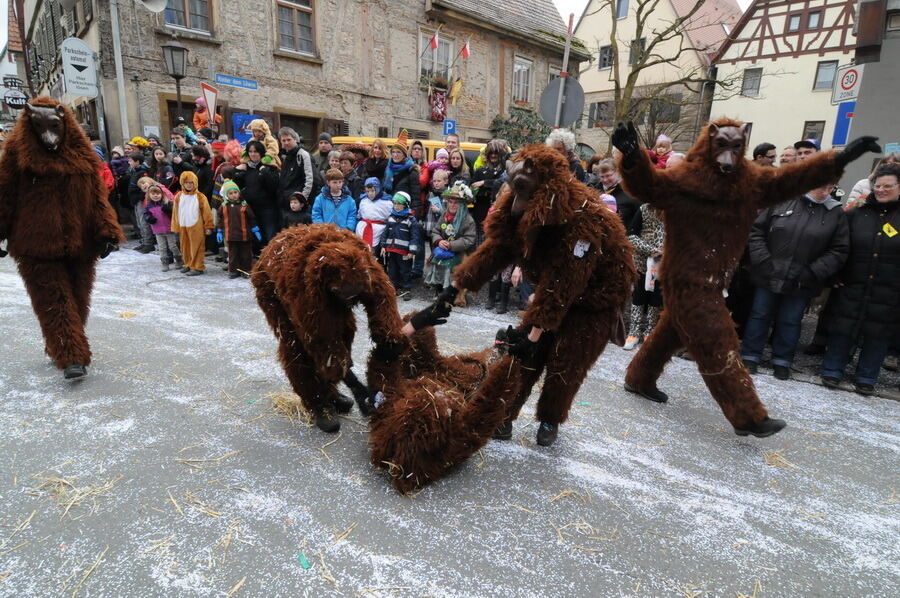 Großer Ommzug in Rottenburg 2014