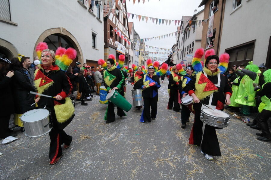 Großer Ommzug in Rottenburg 2014