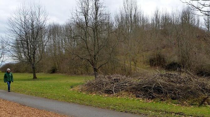 Blick in den Freizeitpark Markwasen mit dem zugewachsenen »Monte Kik« im Hintergrund. Der Reisighaufen am Weg stammt von den Pfl