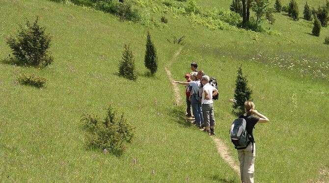 Natur genießen und dabei den Spuren der Geschichte folgen: Die Alb-Guides sind in der Sommersaison mit Wanderern aller Alterskla