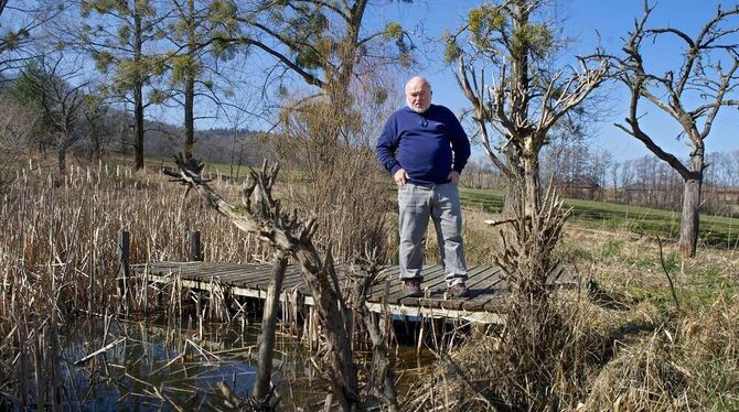 Jochen Nill am Weiher im Nabu-Landschaftsschutzgebiet »Ziegelhütte« beim Vogelschutzzentrum. Der Steg wurde für Beobachtungszwec