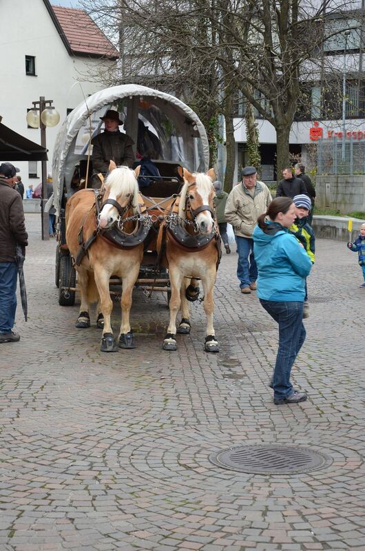 Frühlingserwachen Pfullingen 2014