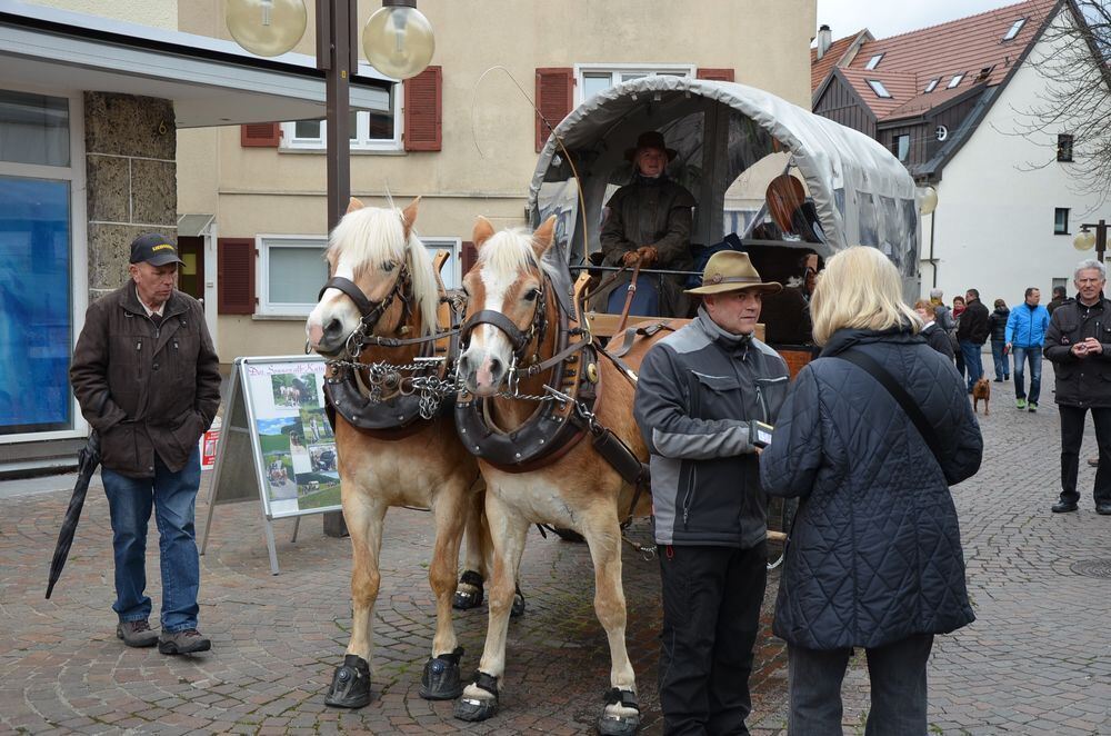 Frühlingserwachen Pfullingen 2014