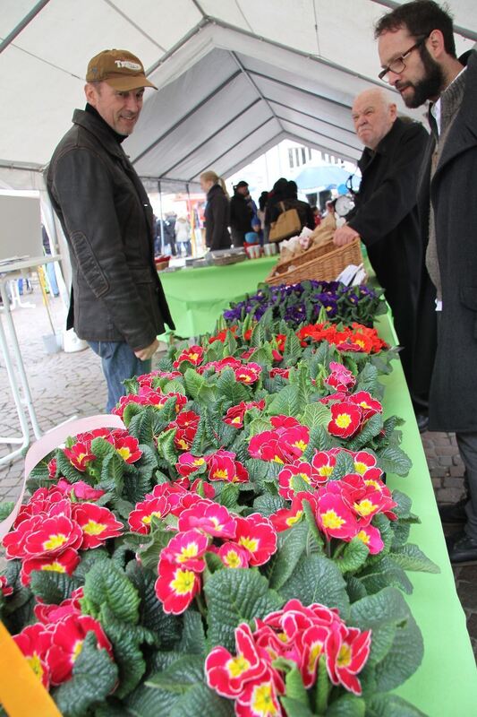 Frühlingserwachen Pfullingen 2014