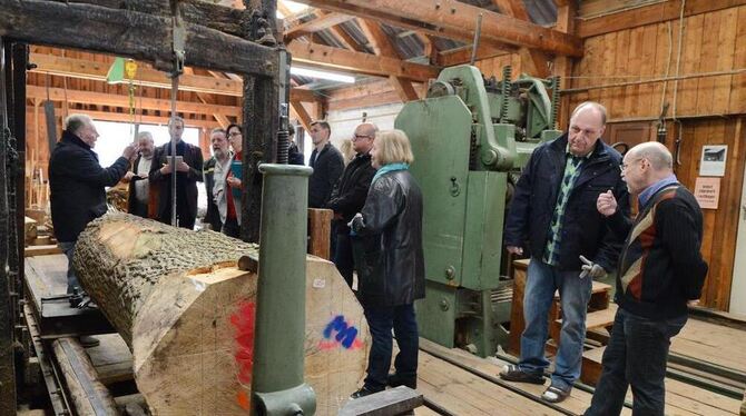 Holz aus dem heimischen Forst, zugeschnitten in der Wegst’schen Mühle: So entstehen Bänke für den Bürgerpark. GEA-FOTO: PACHER