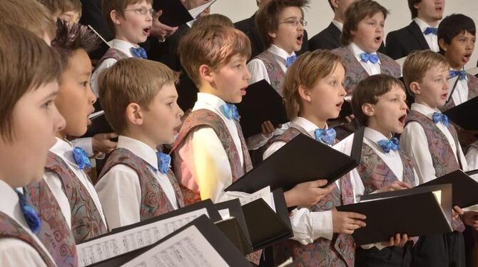 Die Knaben der Capella vocalis, hier auf einem Archivbild, überzeugten. FOTO: PR