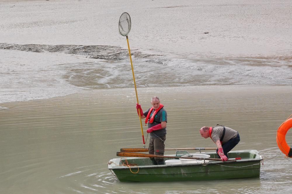 Abfischen des Glemser Stausees 2014