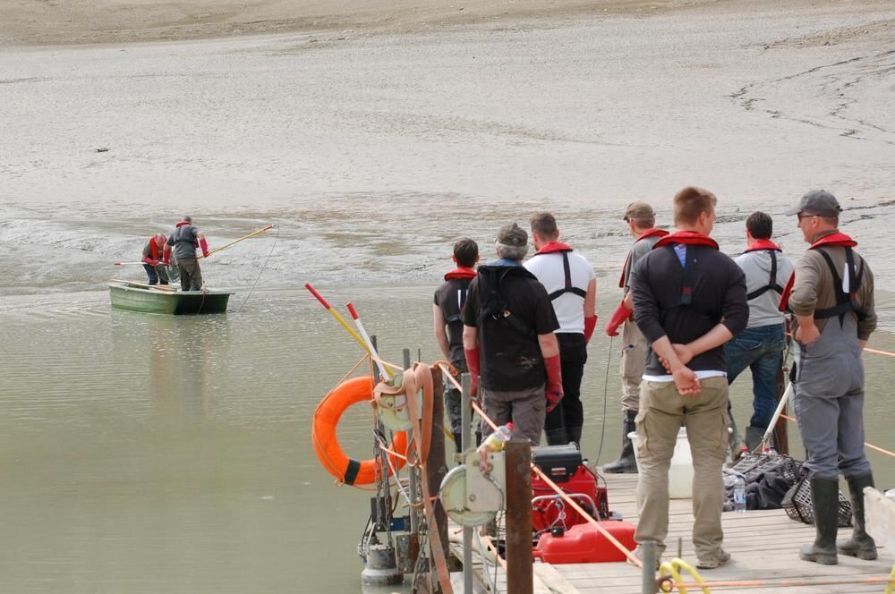 Abfischen des Glemser Stausees 2014