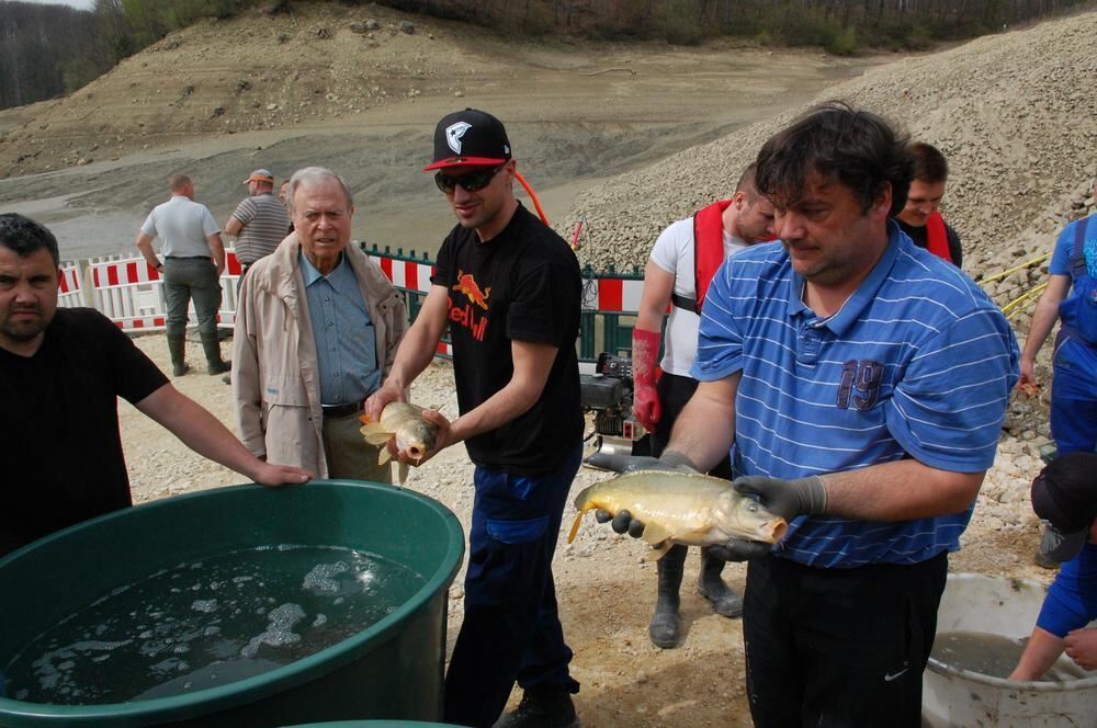 Abfischen des Glemser Stausees 2014