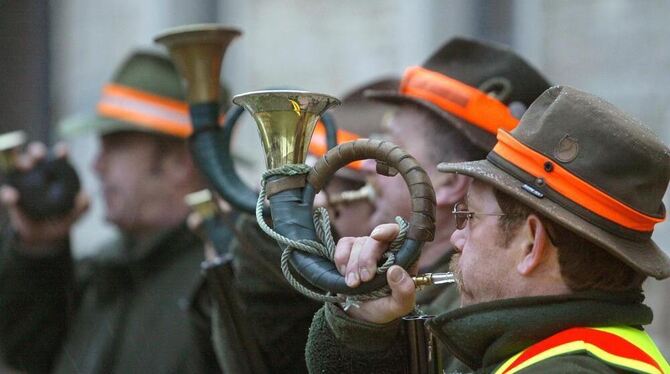 Auf zur Jagd, die traditionell und für alle hörbar mit Jagdhörnern eröffnet und auch beendet wird. Die Methode der Drückjagd wir