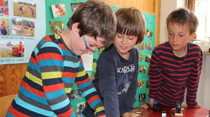 Beni, Dominik und Joris hat der Forschergeist gepackt, sie koppeln immer mehr Schalter in den Stromkreis.  FOTO: GEIGER