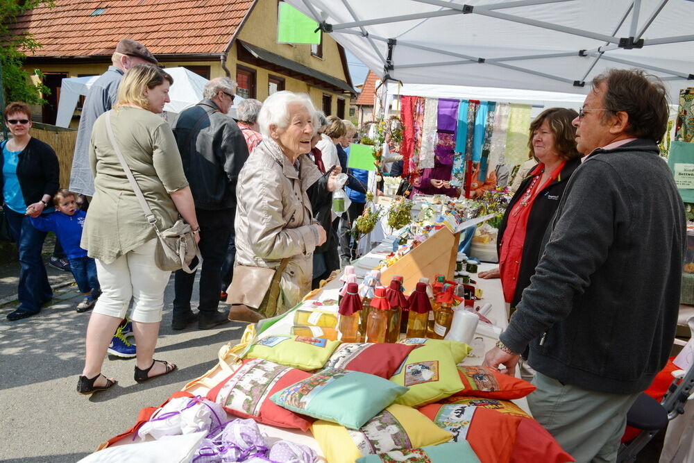 Tulpenblüte Gönningen 2014