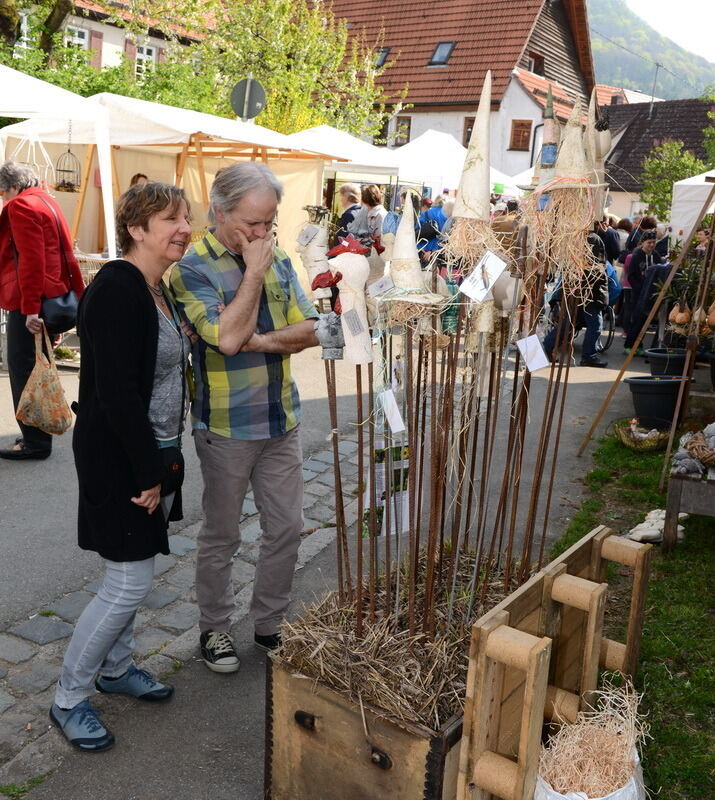 Tulpenblüte Gönningen 2014