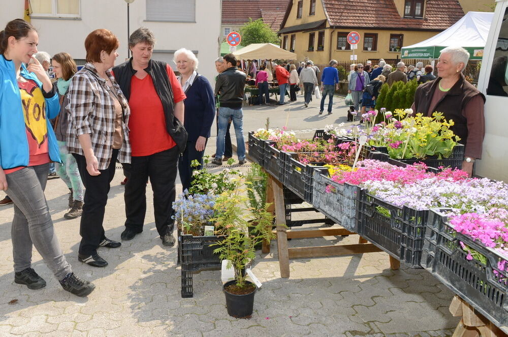 Tulpenblüte Gönningen 2014