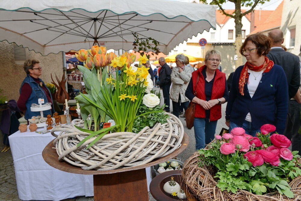 Tulpenblüte Gönningen 2014